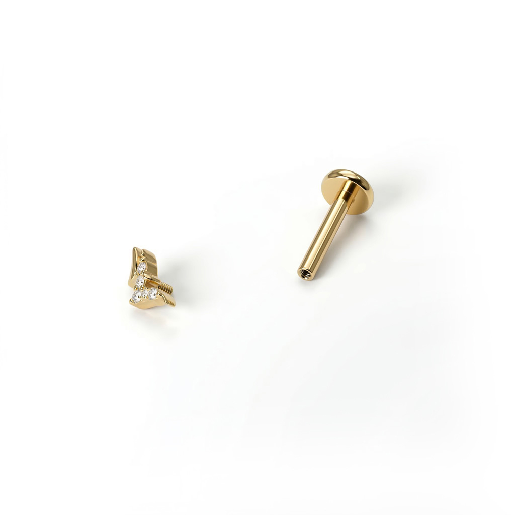 Madármotívumos titán labret